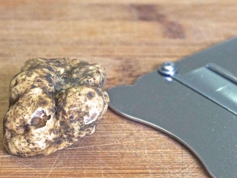 White truffle of San Miniato