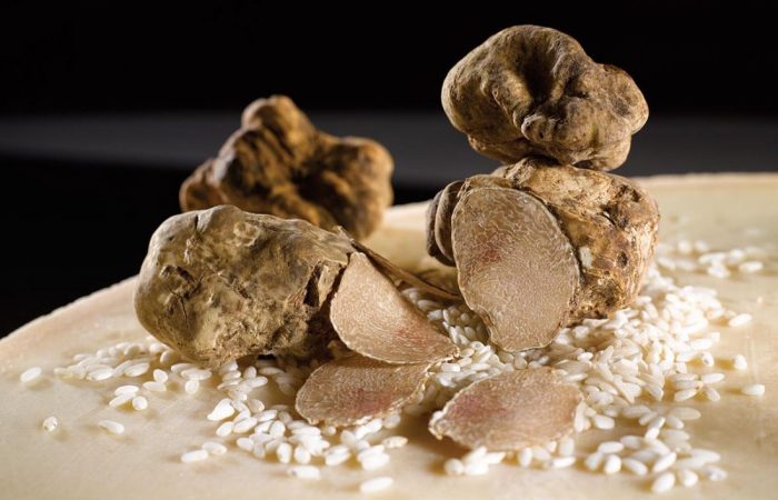 Alba super best white truffle