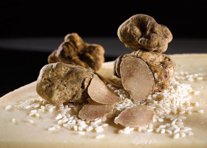 Alba super best white truffle