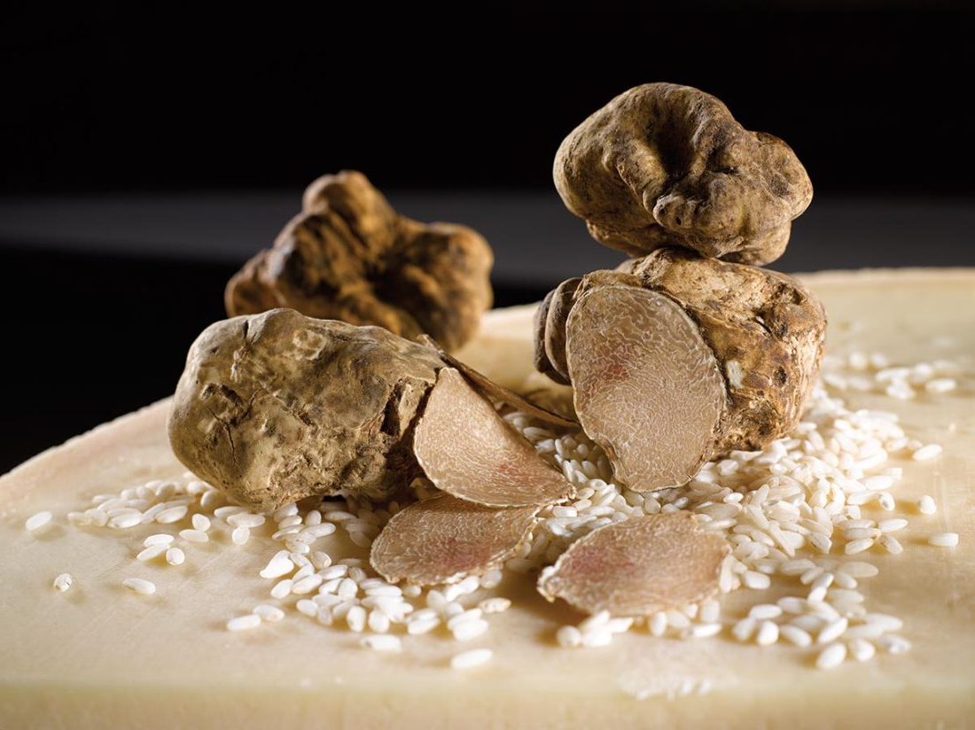 Truffle Hunting Tour in Piedmont • Trufflehunting.tours