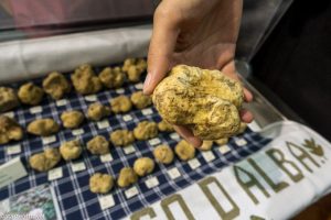 Alba truffle fair 2019 in Piedmont Region