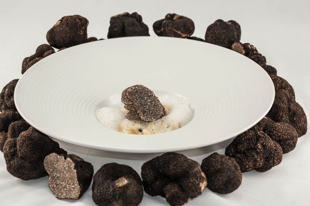 What is a black truffle? • Italian Truffle Hunting Experience