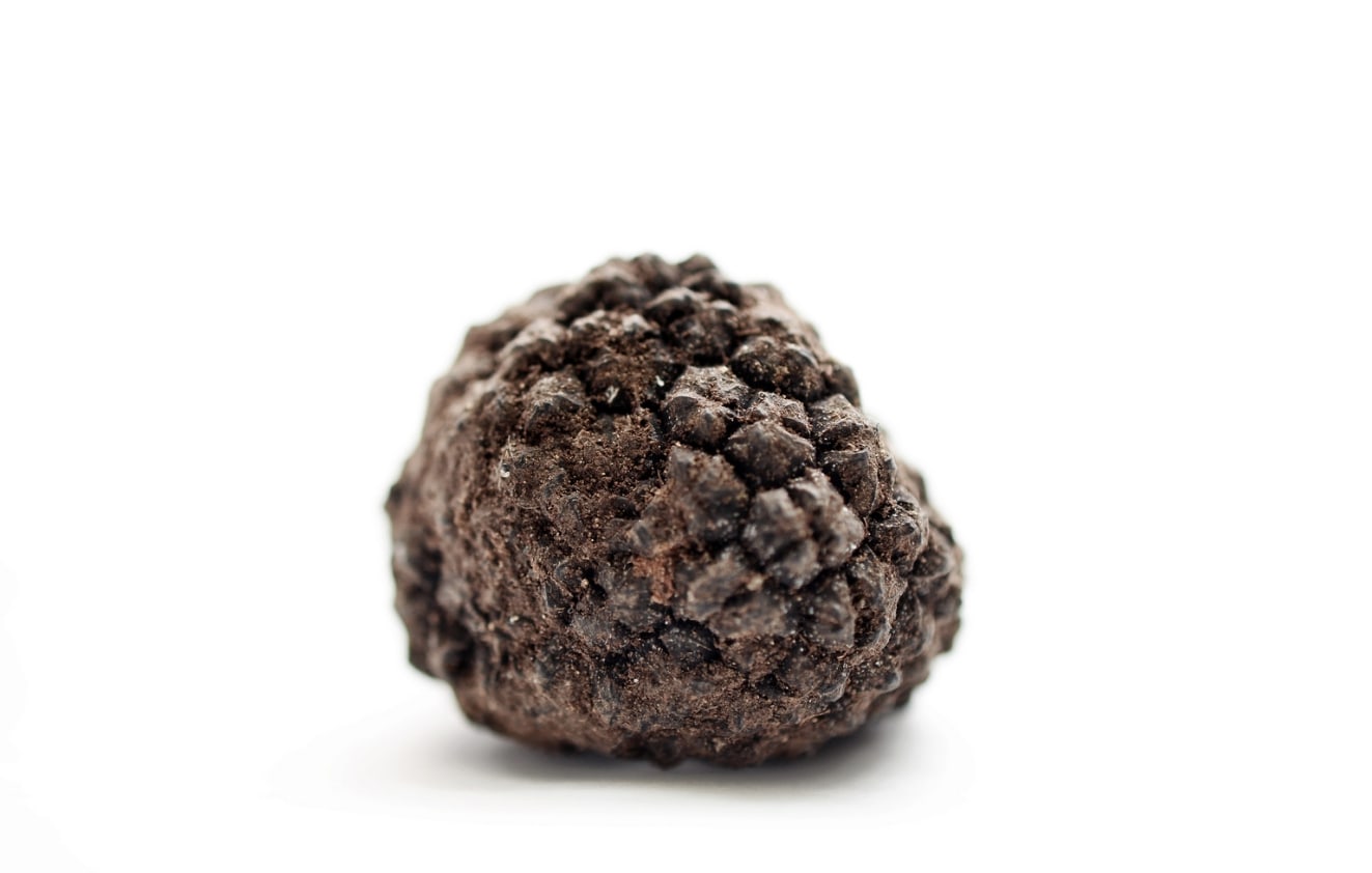 black Périgord truffle