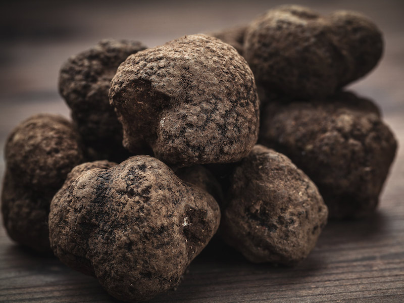 Black truffle Abruzzo