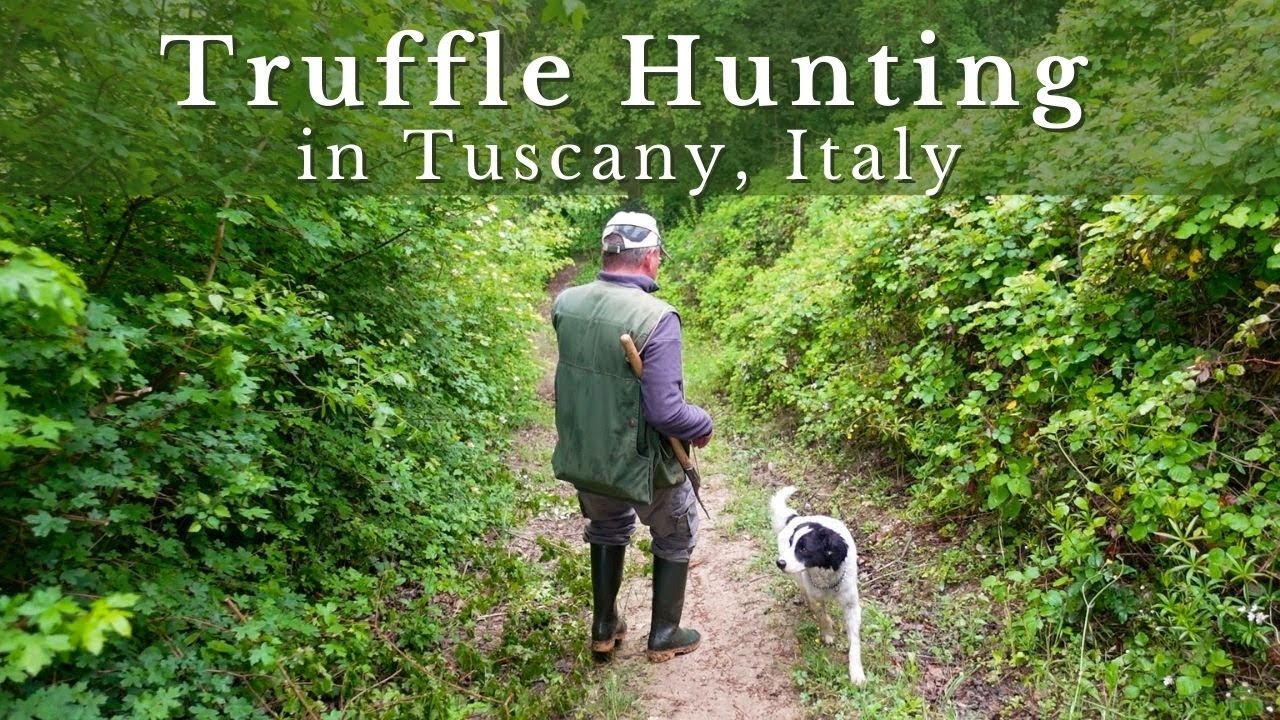 Is Truffle Hunting Worth it in Tuscany?